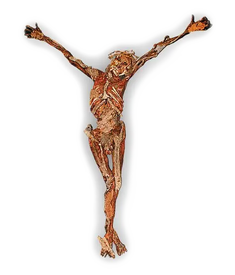 the crucified Christ