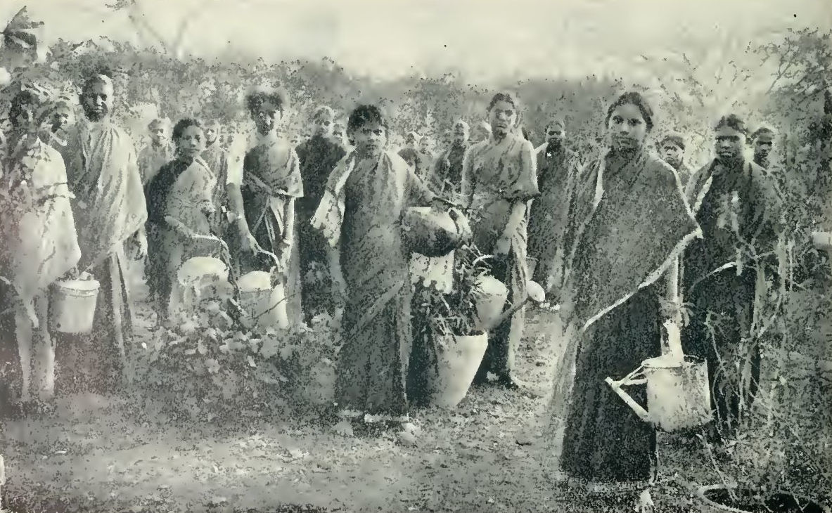 Gardening Staff at Mukti