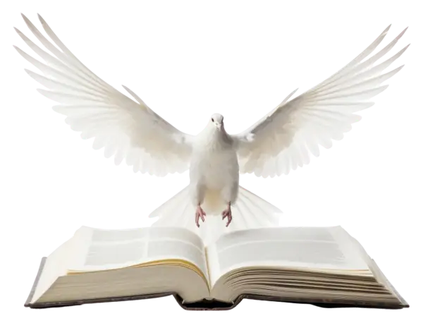 ദൈവത്തിന്റെ ആത്മാവ്  പ്രാവിനെപ്പോലെ സൗമ്യനാണു്.