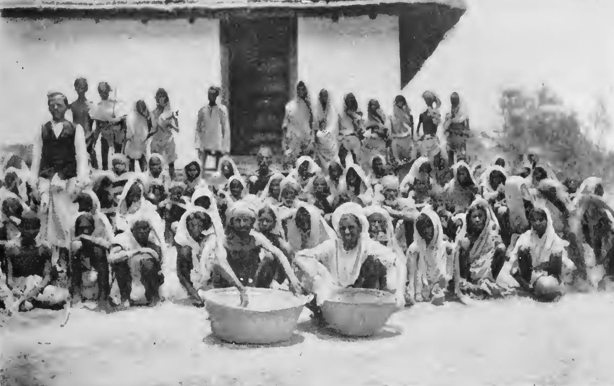 A Hungry Crowd