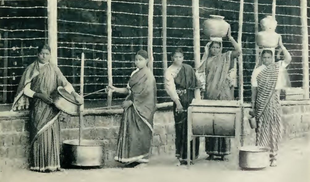 Dairy Work at Mukti