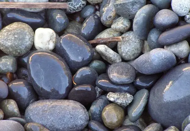 smooth stones in a river